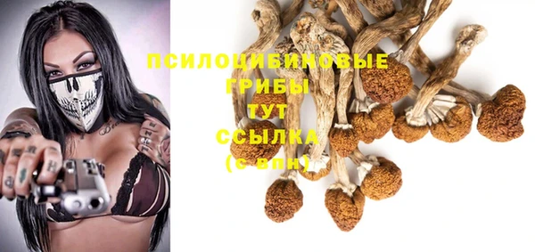 мет Аркадак